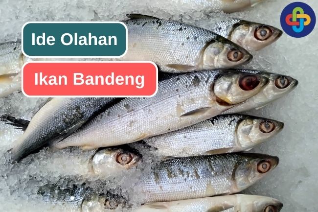 5 Ide Masakan Mudah Berbahan Ikan Bandeng